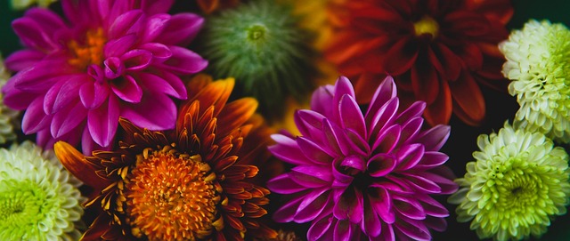 已然成为新 已然成为新