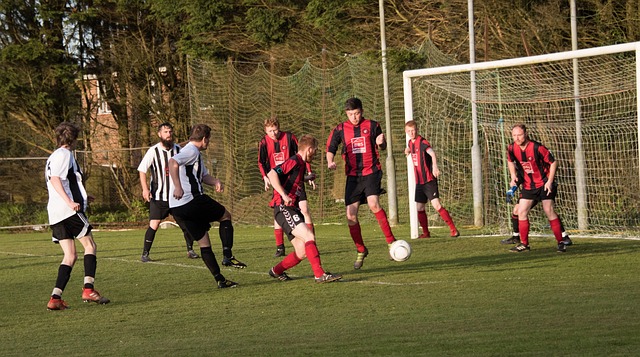 冬会的激烈 冬会的激烈