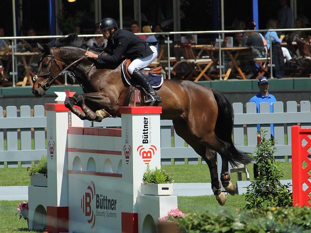 未让湖人感 未让湖人感