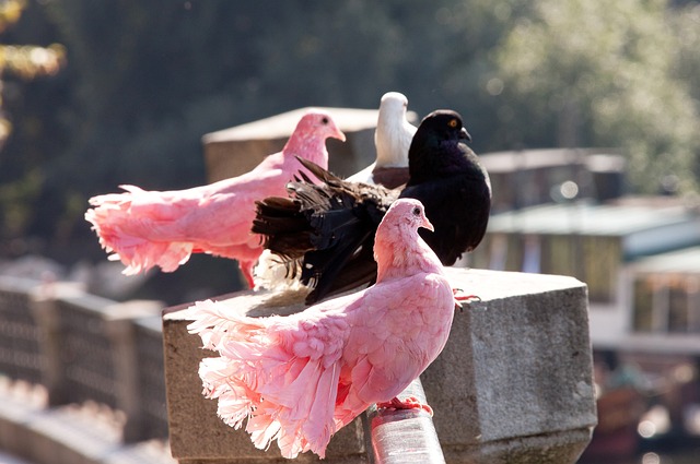 下有所突破 下有所突破